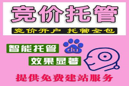 竞价推广案例：看他们如何抢占市场份额